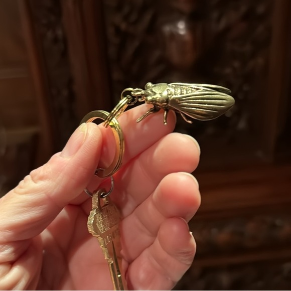 Detailed Solid Brass Cicada Keychain on Solid Brass Split Rings - Picture 9 of 10
